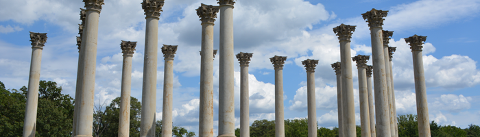 Capitol columns