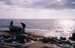 The White Sea shore near Kananlákśi, Karelia