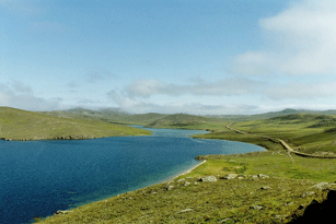 A river in the West Siberian Plain