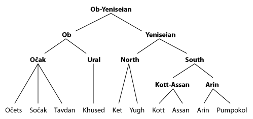 Tree diagram of the Ob-Yeniseian languages